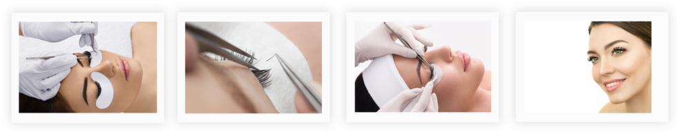 Home Sassy Wink Academy Home Sassy Wink Academy